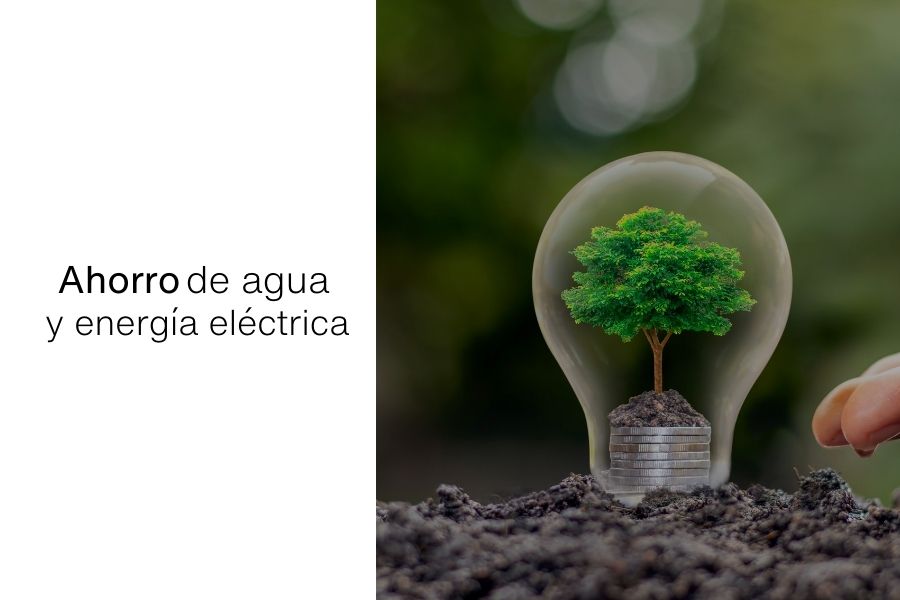 ahorro agua y energia electrica phasis