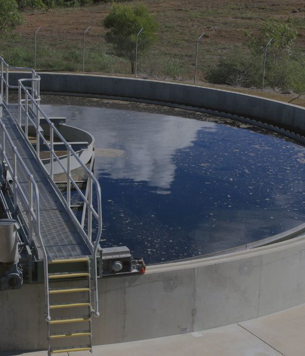 por qué aparecen algas y biofilm en tanques de agua phasis (1)