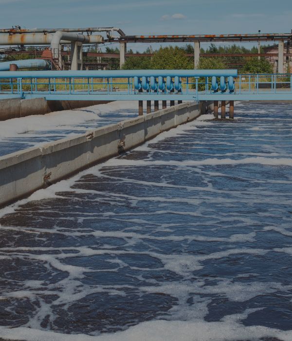 por qué aparecen algas y biofilm en tanques de agua phasis (2)